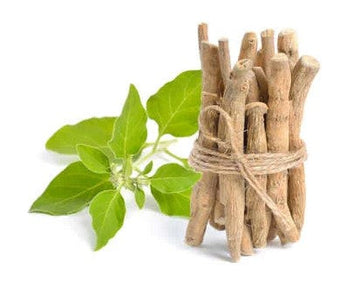 The Benefits of Ashwagandha