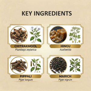 AROGYAM AYURVEDM CHITRAKADI VATI (90)| Helps in IBS and Digestive Disorders