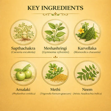 Dr. Pushp's Arogyam Ayurvedm Madhushodhni capsule (60)