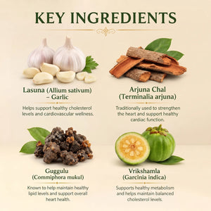Arogyam Ayurvedam Lipi Wel Capsules – Ayurvedic Heart & Cholesterol Wellness Support