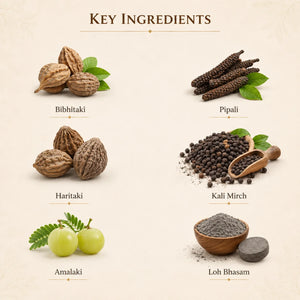 Dr. Pushp Arogyam Ayurvedm Tapyadi Loh Tablets (90)