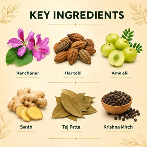 Dr. Pushp's Arogyam Ayurvedm Kanchnar Guggul | Pack of 60 Tablets