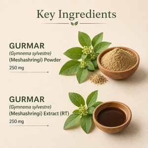 Dr. Pushp's Arogyam Ayurvedm Gurmar Capsules Support for Healthy Blood Sugar
