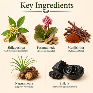 Dr. Pushp’s Arogyam Ayurvedm Mootardosh Har Vati – Ayurvedic Support for Urinary & Bladder Wellness