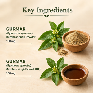 Gurmar Capsules | Healthy Blood Sugar Wellness Support | Dr. Pushp's Arogyam Ayurvedm
