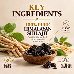 Shilajit Capsules | Energy & Stamina Support | Pack of 60 Veg Capsules | Dr. Pushp's Arogyam Ayurvedm